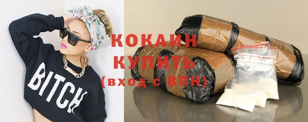 стаф Няндома