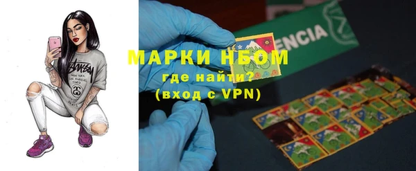 стаф Няндома
