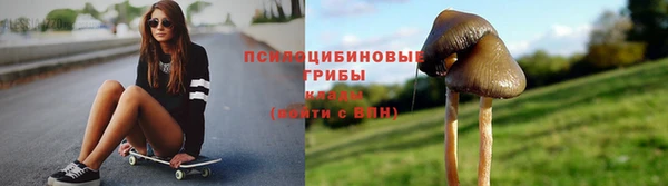 стаф Няндома