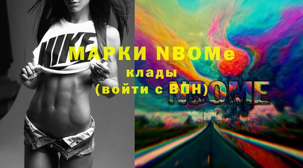 стаф Няндома