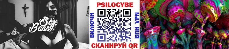 Галлюциногенные грибы Psilocybe  купить   Киселёвск 
